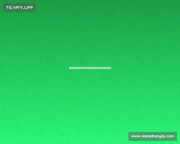 网球比赛中的战术布局与应对策略分析提升场上表现的关键要素