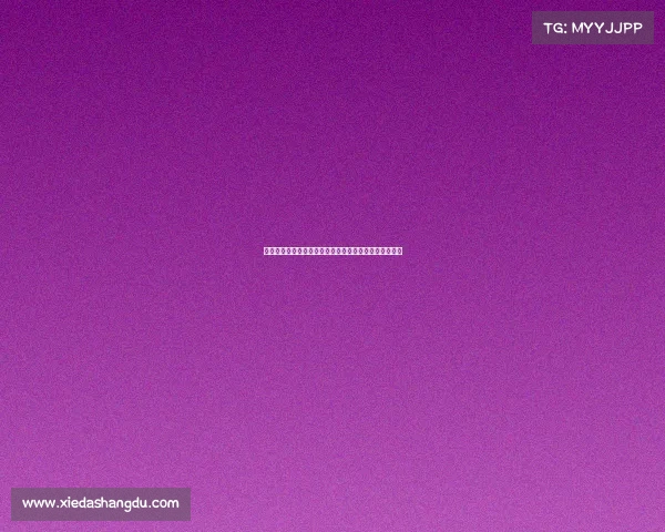 德甲夏季转会窗动态回顾：各大豪门引援策略与新星崛起